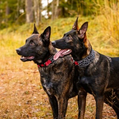 Rukka® Cube Soft Kraag, Rood / Zwart - Afbeelding 5