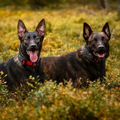 Rukka® Cube Soft Kraag, Rood / Zwart - Afbeelding 7