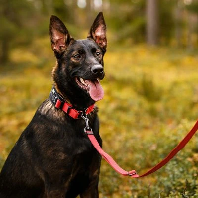 Rukka® Cube Soft Kraag, Rood / Zwart - Afbeelding 6