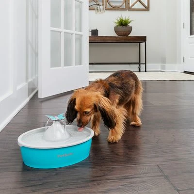 PetSafe® Drinkwell® Butterfly Trinkbrunnen - Afbeelding 3