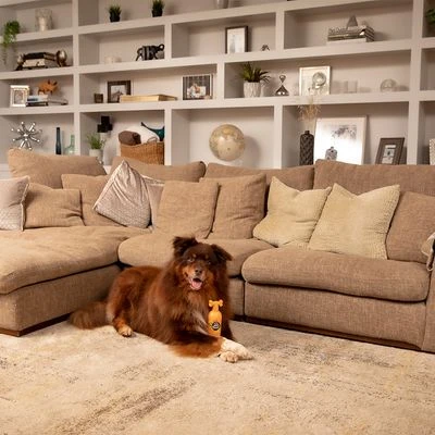 Pet Head Ditch The Dirt Shampoo - Afbeelding 4