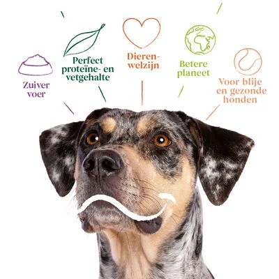 Yarrah Bio Biologisch Vega Graanvrij Hondenvoer - Afbeelding 2