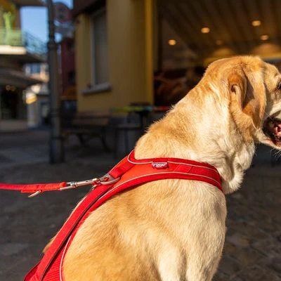 Curli Belka Comfort Tuigje - Rood - Afbeelding 7