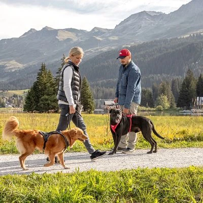 Curli Belka Comfort Tuigje - Rood - Afbeelding 11