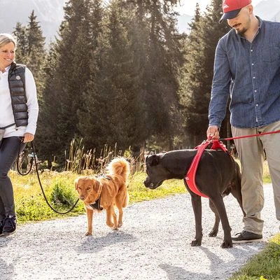 Curli Belka Comfort Tuigje - Rood - Afbeelding 12