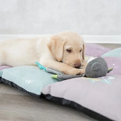 Trixie Junior Ligmat Patchwork - Afbeelding 9