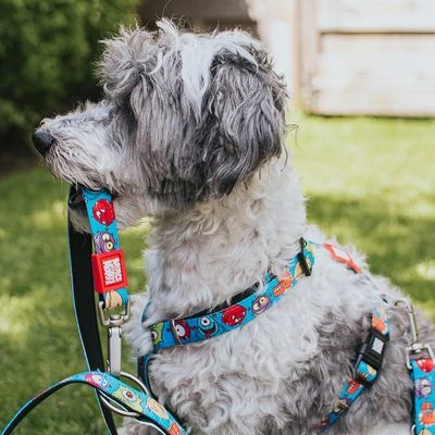 Max & Molly H-Tuig Little Monsters - Afbeelding 7