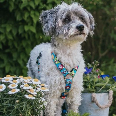 Max & Molly H-Tuig Little Monsters - Afbeelding 2