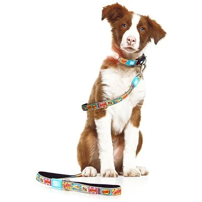 Max & Molly Korte Lijn Comic - Afbeelding 4