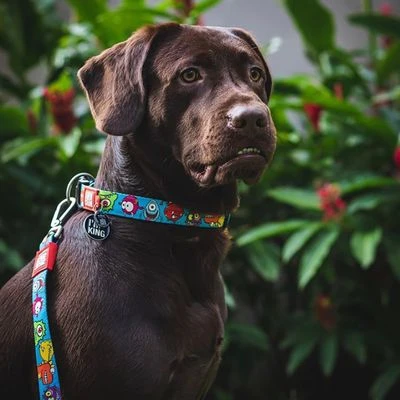 Max & Molly Korte Lijn Little Monsters - Afbeelding 2