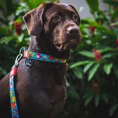 Max & Molly Multifunctionele Lijn Little Monsters - Afbeelding 2