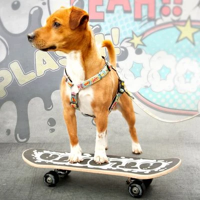 Max & Molly H-Tuigje Comic - Afbeelding 7