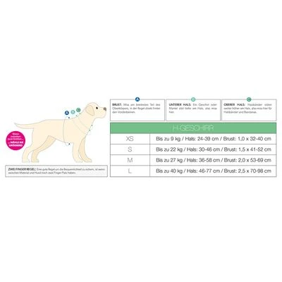 Max & Molly H-Tuigje Comic - Afbeelding 9