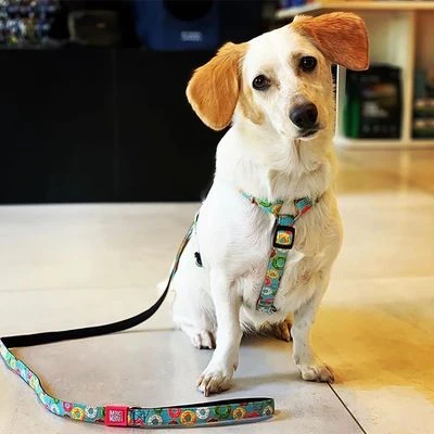 Max & Molly Korte Lijn Donuts - Afbeelding 2