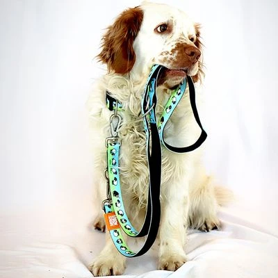 Max & Molly Multifunctionele Hondenlijn Black Sheep - Afbeelding 2