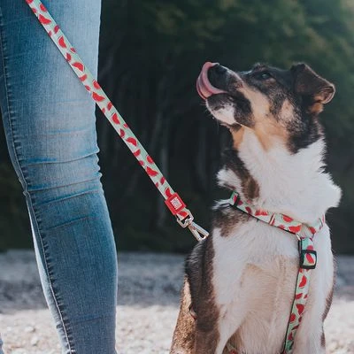 Max & Molly H-Tuig Watermelon - Afbeelding 12