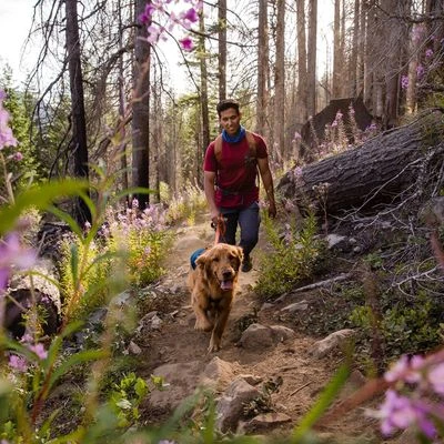 Ruffwear Switchbak Harnas, Blue Moon - Afbeelding 11