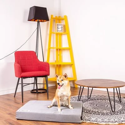 Hondenkussen Classic - Afbeelding 8