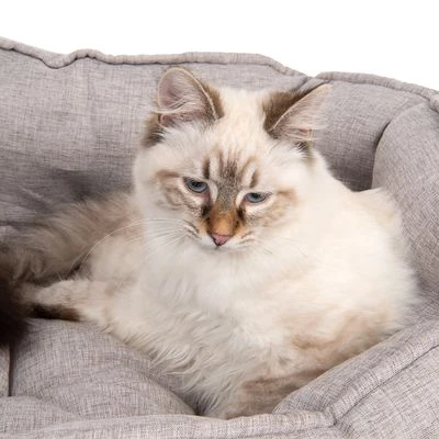 Kattenmand Batumi - Afbeelding 4