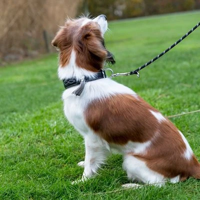 Trixie Active Comfort Halsband Voor Windhonden - Zwart/grijs - Afbeelding 7