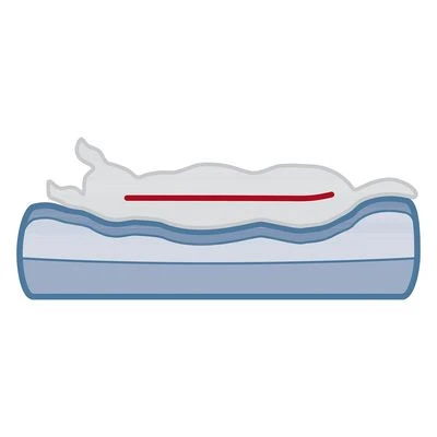 Trixie Vital Bank Bendson - Afbeelding 12