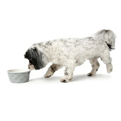 HUNTER Keramieken Voerbak Eiby, Grijs - Afbeelding 2