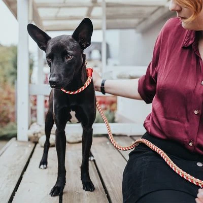 HUNTER Halsband Tinnum, Rood/beige - Afbeelding 8