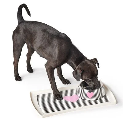 HUNTER Set Van Voerbak En Placemat Biri - Afbeelding 2