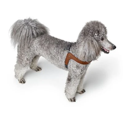 HUNTER Tuig Dimaro, Cognac - Afbeelding 2