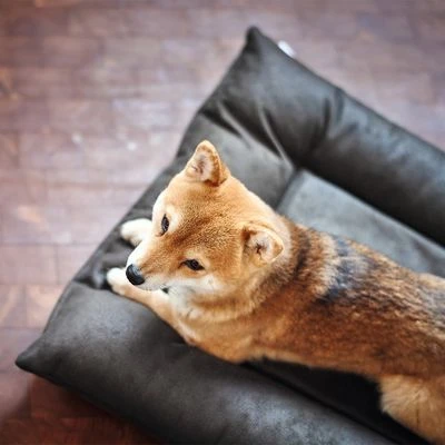 HUNTER Hondenmand Bologna, Zwart - Afbeelding 7