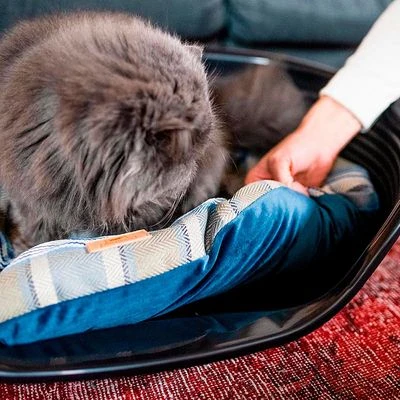 Ferplast Hondenkussen Scott, Blauw - Afbeelding 6