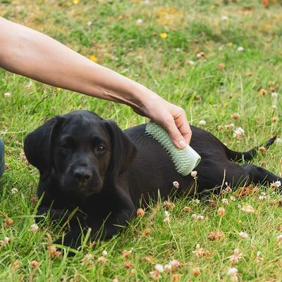 Pet Teezer Puppyborstel - Afbeelding 3