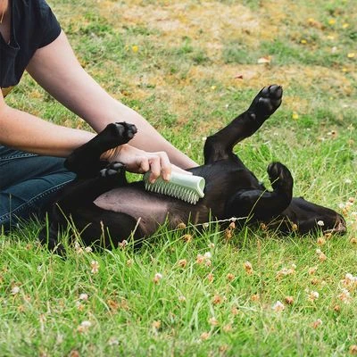 Pet Teezer Puppyborstel - Afbeelding 6