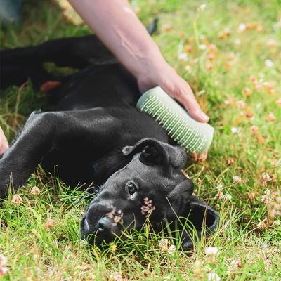 Pet Teezer Puppyborstel - Afbeelding 7