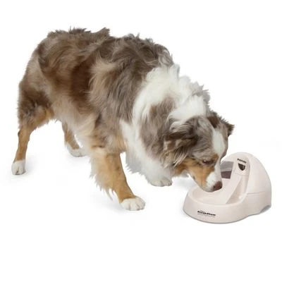 Petmate Fresh Flow Deluxe Drinkfontein 3 L - Afbeelding 3