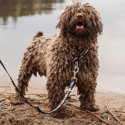 Hurtta Bare Trek-stop Halsband, Coal - Afbeelding 2