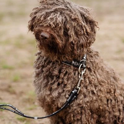 Hurtta Bare Trek-stop Halsband, Coal - Afbeelding 6