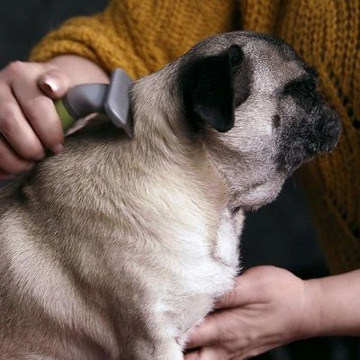 Moser Ondervachtkam - Afbeelding 2