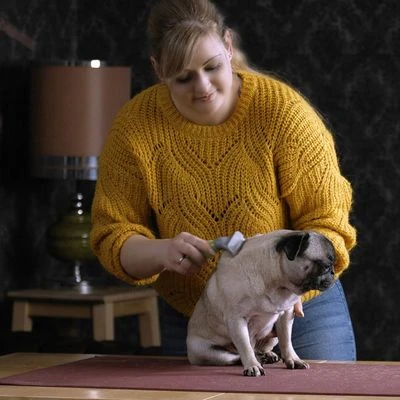 Moser Ondervachtkam - Afbeelding 3