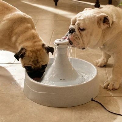 PetSafe® Drinkwell® Drinkfontein 360 - Afbeelding 2