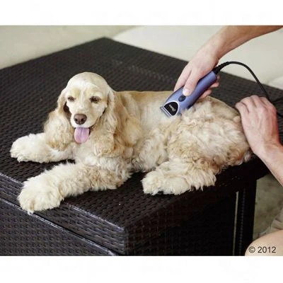 Oster Huisdierentondeuse-Set 220 V - Afbeelding 6