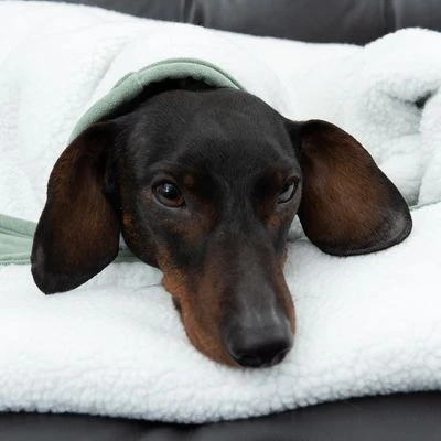 Modern Living Hondendeken Victoria - Afbeelding 11