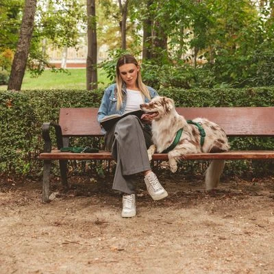 Hondentuig Nomad Tales Blush, Emerald - Afbeelding 12