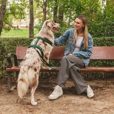 Hondentuig Nomad Tales Blush, Emerald - Afbeelding 8