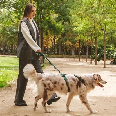 Hondentuig Nomad Tales Blush, Emerald - Afbeelding 17