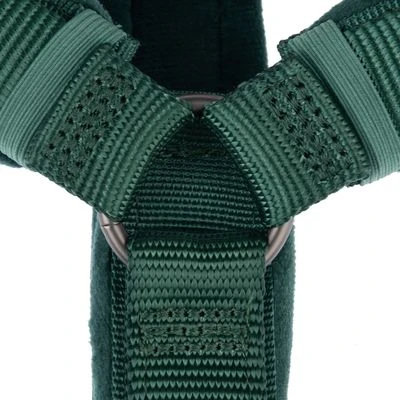 Hondentuig Nomad Tales Blush, Emerald - Afbeelding 9