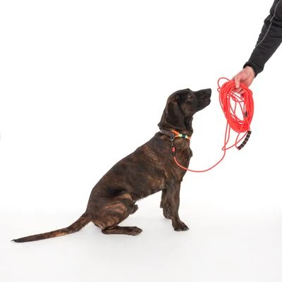 TIAKI Neo Comfort Sleeplijn, Rood - Afbeelding 5