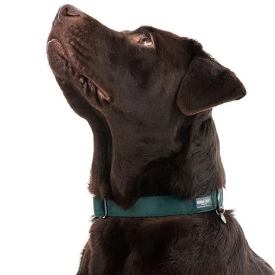 Halsband Nomad Tales Blush Emerald - Groen - Afbeelding 3