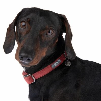 Halsband Nomad Tales Blush, Rosé - Afbeelding 9