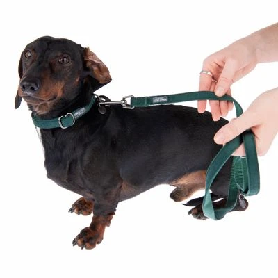 Halsband Nomad Tales Blush Emerald - Groen - Afbeelding 17